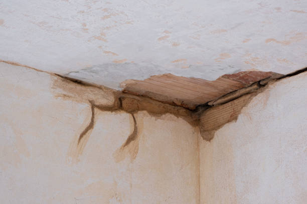 Best Professional water damage repair  in Gower, MO