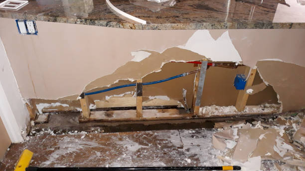 Best Ceiling water damage repair  in Gower, MO