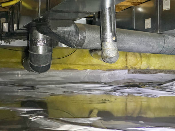 Best Ceiling water damage repair  in Gower, MO