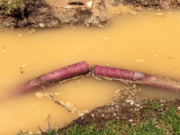 Best Local water damage restoration  in Gower, MO