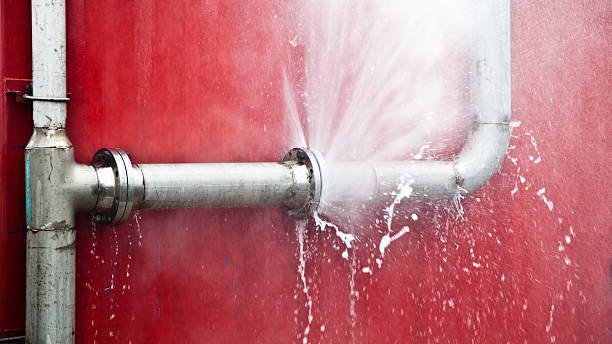 Best Water damage cleanup near me  in Gower, MO